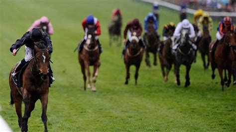 1000 guineas betting